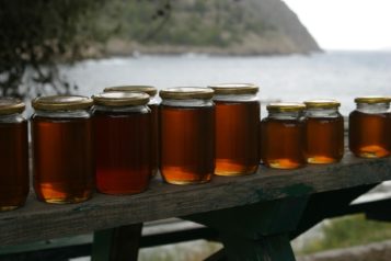 ΑΛΗΘΕΙΕΣ ΓΙΑ ΤΟ ΜΕΛΙ