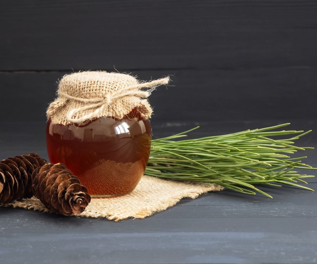 Το μοναδικό πευκόμελο της Melifarm