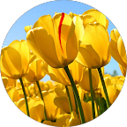 Ιωαννης Johncyber