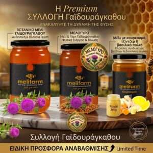Σετ φυσικού μελιού Melifarm Thistle Bee για καθημερινή τόνωση και διατροφή όλης της οικογένειας